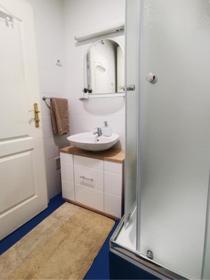 Center Apartment Iva Novi Sad Esterno foto