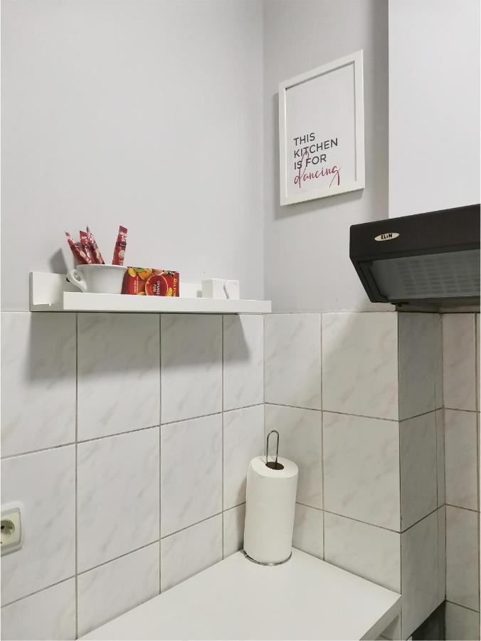 Center Apartment Iva Novi Sad Esterno foto